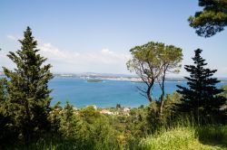 Escursione nel cuore verde dell'isola di Pasman, in Croazia