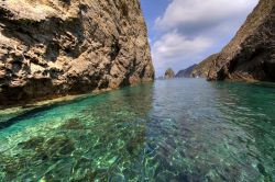 Escursione nel mare turchese di Palmarola nel Lazio