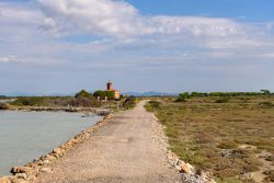 Escursione nella Maremma costiera vicino a Marina di Alberese in Toscana