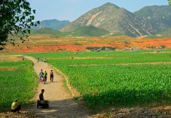 Escursione nella natura della Corea del Nord, siamo nelle zone settentrionali del paese asiatico. - © Attila JANDI / Shutterstock.com