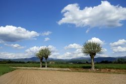 Escursione nella natura di Passirano in Lombardia