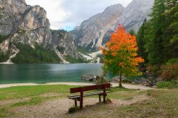 Escursione sul Lago di Braies in autunno, Alto ...