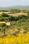 Escursione tra i paesaggi che circondano Civitella Paganico in Toscana