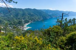 Escursionismo nel Parco Nazionale delle Cinque Terre, Liguria. Veduta della costa dal sentiero tra Monterosso al Mare e Levanto.


