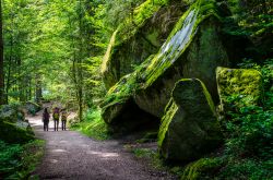 Escursionisti nella foresta di Schwarzwald nei pressi di Triberg, Baden Wurtemberg, Germania.
