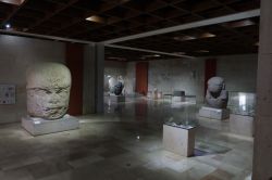 Esposizione di cultura olmeca al museo MAX (Anthropology Musuem of Xalapa) nei pressi di Veracruz, Messico - © Omaly Darcia / Shutterstock.com