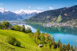 Estate a Zell am See, Austria: nella bella stagione non c'è niente di meglio che una bella gita al lago o di una pedalata in bici all'ombra dei boschi centenari.
