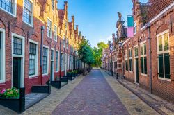 Esterno del Frank Hals Museum nel cuore di Haarlem, Olanda - © trabantos / Shutterstock.com