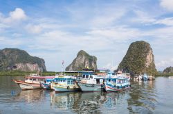 Ex pescherecci riconvertiti in imbarcazioni turistiche nel mare delle Andamane, Trang, Thailandia. Ancorate nei pressi di Koh Mook, nel sud del paese, accompagnano i turisti alla scoperta delle ...