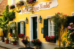 La facciata di una trattoria nel centro di Durnstein, Bassa Austria - © romeovip_md / Shutterstock.com