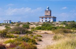 Il faro dell'isola di Tabarca, Alicante, Spagna. La popolazione, meno di un centinaio di persone, è concentrata nella parte ovest dell'isola.
