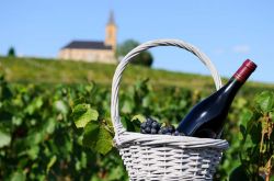 Festa Beaujolais nouveau (vino novello) in Francia ...