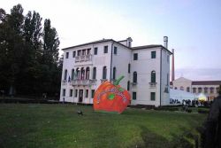 La Festa della Zucca è un atteso evento di Salzano in veneto