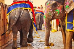 Elephant Festival a Jaipur in Rajasthan, India. Evento annuale di grande fascino.  - © Nikada / iStockphoto LP.