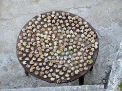 Fichi stesi al sole ad essiccare su un tavolino, isola di Lipsi, Grecia.

