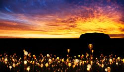 Field of Light, l'installazione realizzata dal celebre artista Bruce Munro, conosciuto in tutto il mondo per le sue innovative opere luminose. - © Mark Pickthall