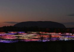 Field of Light a Uluru lo spettacolo di luci a Ayers Rock: una installazione temporanea attiva da aprile 2016 a marzo 2017 - © Mark Pickthall