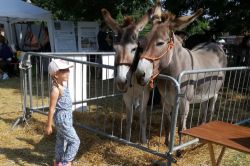 La Festa dell'Agricoltura a Imola, Parco di Sante Zennaro