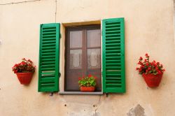 Finestra a Castiglione del Lago, Umbria - Persiane smaltate di verde brillante per questa bella finestra che impreziosisce la facciata di un edificio del borgo assieme a due vasi fioriti © ...