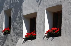 Finestre con gerani a Glorenza, Alto Adige. Circondata da maestose montagne e da una pittoresca campagna, la piccola città in provincia di Bolzano incanta con la sua atmosfera medievale. ...