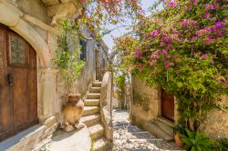 Fiori decorano una viuzza soleggiata nella città ...