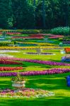 Fiori in un parco a Spokane in una giornata primaverile, Washington, Stati Uniti.

