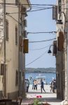 Fiori sulla tavola di un ristorante nella vecchia città di Fazana, Croazia. Sullo sfondo turisti e uno scorcio del mare: Fazana è una località estiva molto popolare in Europa ...