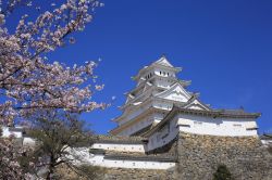Un bella giornata al Castello Himeji durante la fioritura dei ciliegi in Giappone - © myfavoritescene / Shutterstock.com