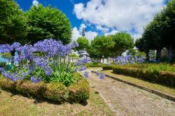 Fioritura nel parco Vicente Loriente a Castropol, nelle Asturie, costa nord della Spagna