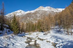 Un fiume di montagna ricoperto di neve a Cogne, Valle d'Aosta. Siamo in una bella giornata di sole in inverno con pini e cime innevate sullo sfondo.


