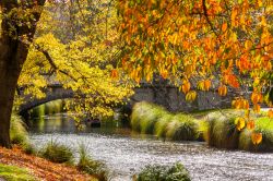 Il foliage autunnale degli alberi, con tonalità dall'arancio al rosso, si rispecchia nelle acque del fiume Heathcote a Christchurch in Nuova Zelanda  - © ian woolcock / ...