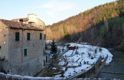 Il Fiume Montone in una fotografia invernale, a Portico di Romagna - © Zitumassin - CC BY 3.0 - Wikimedia Commons.