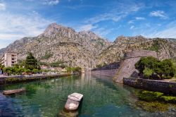 Fiume Skurda e mura di fortificazione a Cattaro, Montenegro. Le mura che circondano la città vecchia hanno in gran parte contribuito a proteggere Kotor dagli attacchi dei nemici, soprattutto ...