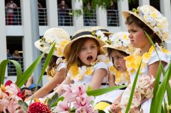 Flower Festival di Madeira (Portogallo) con uno scatto dolcissimo sul "Muro della Speranza"- Un dettaglio non trascurabile e dalla straordinaria bellezza quello che suscita questa ...