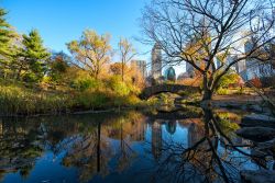 Foliage a New York City nel cuore di Central Park, il polmone verde della Grande Mela