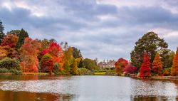 Foliage autunnale per gli alberi che si rispecchiamo nel laghetto dello Sheffield Park Garden, Yorkshire, UK.

