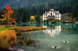 Foliage autunnale attorno al lago di Dobbiaco, nelle Dolomiti, con un hotel-ristorante sullo sfondo (Trentino Alto Adige).

