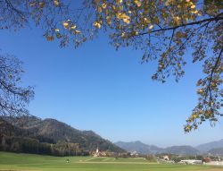 Foliage autunnale in un bosco di Judenburg, Austria. La città sorge a 737 metri sul livello del mare nella valle del fiume Mur.

