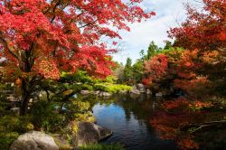 Foliage autunnale in un parco a Himeji in Giappone, nelle vicinanze del celebre castello