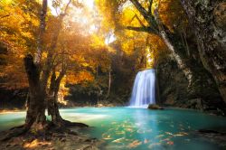 Foliage autunnale in una foresta con cascata nel  Kanchanaburi, Thailandia. In primo piano, un branco di pesci rossi nuota nelle acque del torrente.
