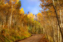 Foliage autunnale nei dintorni di Aspen, Colorado. Questa cittadina è una delle mete predilette dagli appassionati di trekking e passeggiate rigeneranti nella natura. In autunno le chiome ...