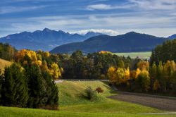 Foliage autunnale nelle Alpi attorno al villaggio di Sillian, Austria.



