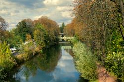 Foliage autunnale per gli alberi lungo il canale di Metz, Francia. La città sorge alla confluenza della Mosella con il fiume Seille.

