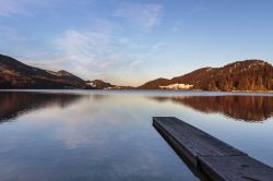 Foliage invernale per la vegetazione che circonda il lago Fuschl, Austria.

