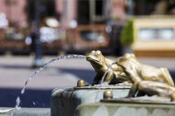 Fontana a Torun, Polonia. Le rane, come quelle che adornano questa bella fontana nella zona vecchia di Torun, sono uno dei principali simboli della città - © Curioso / Shutterstock.com ...