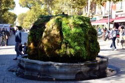 La fontana ricoperta di muschio di Aix-en-Provence, detta Fointaine moussue o Fontaine d'Eau Chaude, da cui sgorga acqua termale a una temperatura di 18°C.