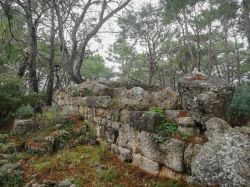 Foresta con nebbia lungo la costa Mediterranea fra Kemer e Tekirova vicino a Faselide, Turchia.

