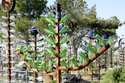 Foresta di Bottiglie in un campo di Victorville nella California del Sud