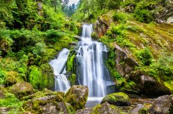 Foresta Nera (Germania): le Triberg Falls, fra le più alte cascate del paese.



