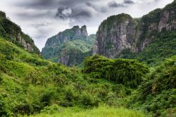 Una foresta tropicale sull'isola di Vti Levu, Figi, in una giornata di pioggia (Oceania).



